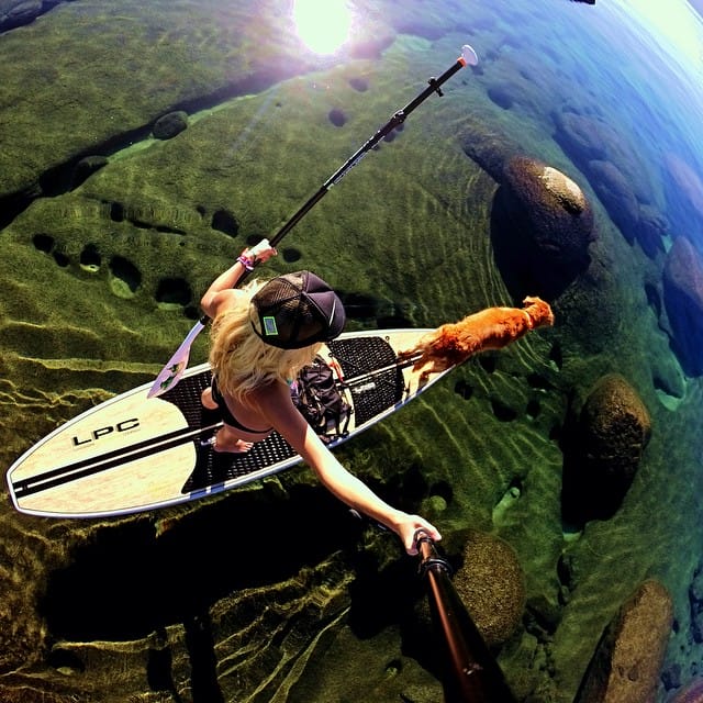 breeze turner lake tahoe sup dog