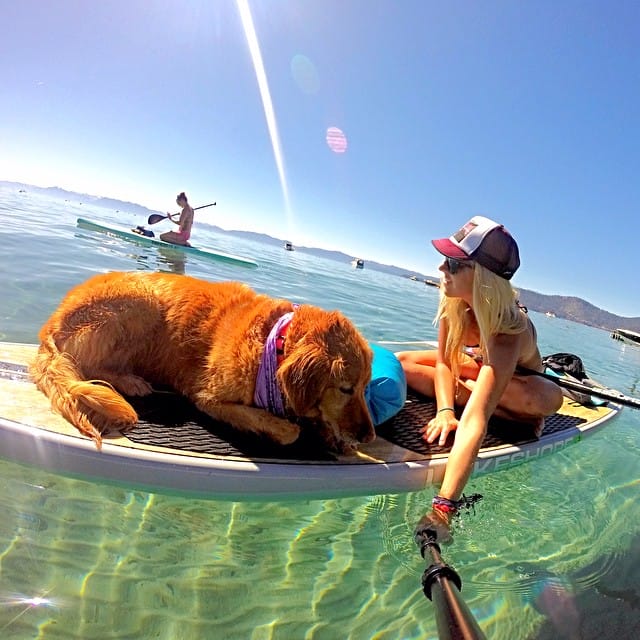 breeze turner lake tahoe sup dog