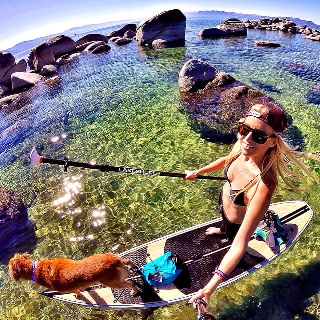 breeze turner lake tahoe dog