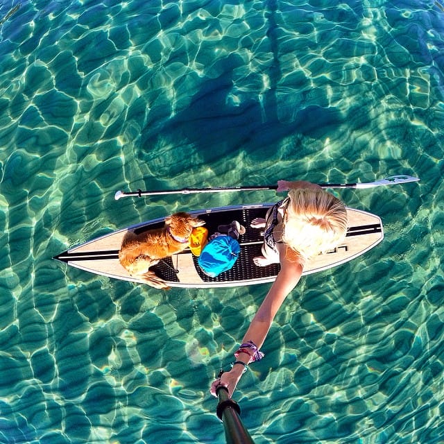 breeze turner lake tahoe sup dog