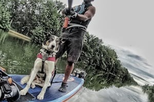 Danube river Stand Up Paddle – a 3-month SUP journey for Joshua and his dog Nero