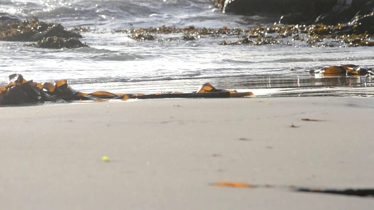 Stand Up Paddle in Scotland: Tiree