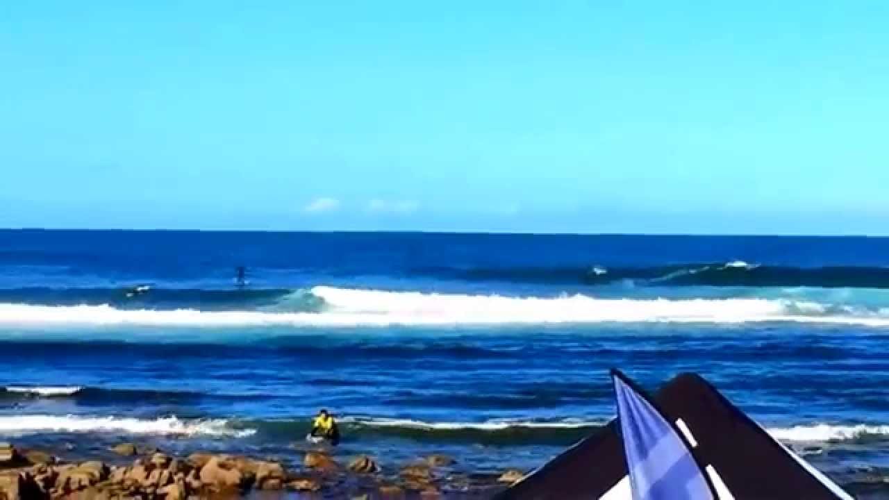 Stand Up Paddler Knocked Off By Dolphins