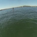 Stand Up Paddling with Dolphins in Sydney