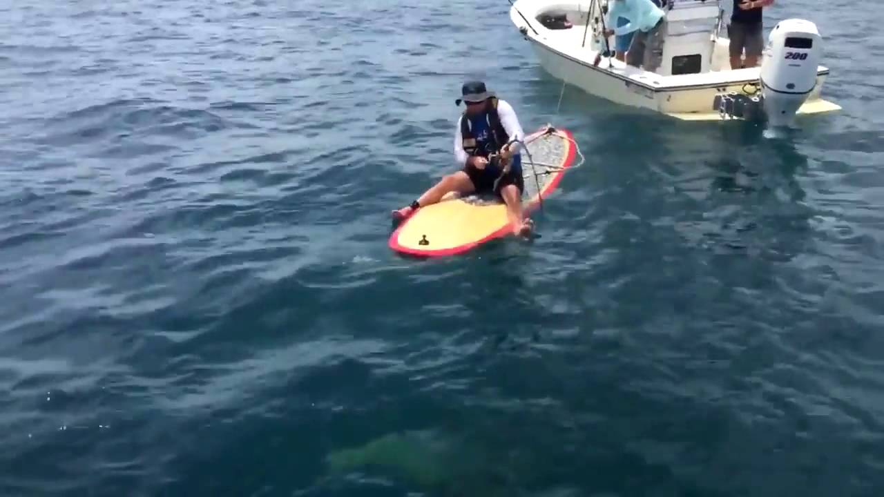 A Stand Up Paddle Angler catch a 420 pounds hake !