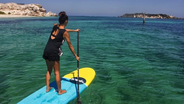 smiksup-scott-mckercher