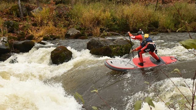 Dan Gavere, Stand Up Paddle 