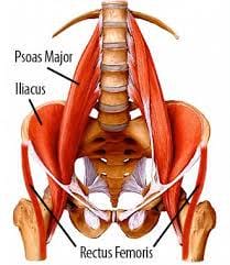 hip-flexors