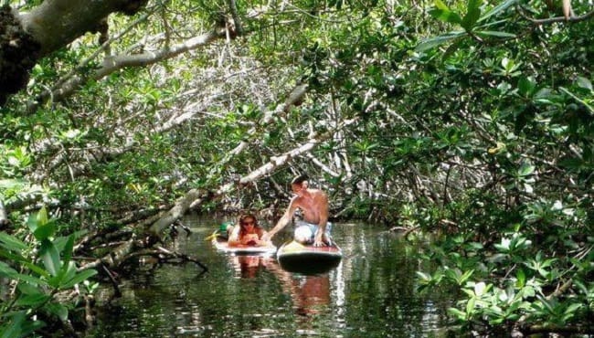 SUP East Coast Style Massachusetts