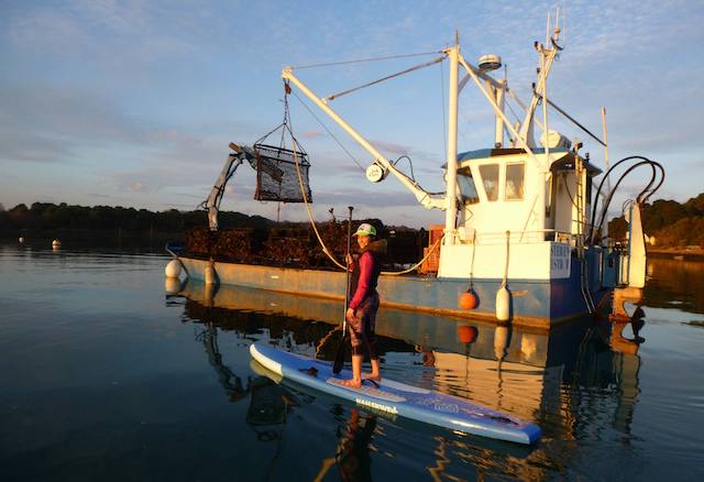 Le Morbihan en Paddle