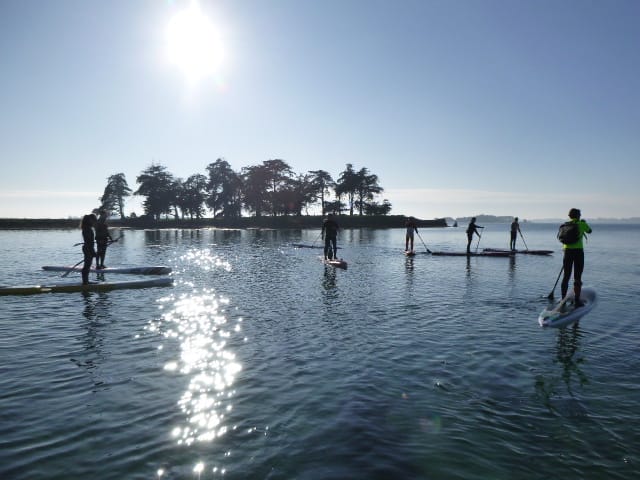 En paddle au Morbihan