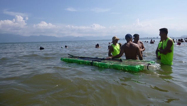 Plastic Bottle SUP on the water 8