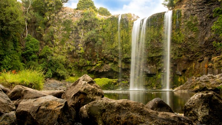 The famous Whangarei Falls, a major tourist attraction in the capital of the Northland Region, New Zealand