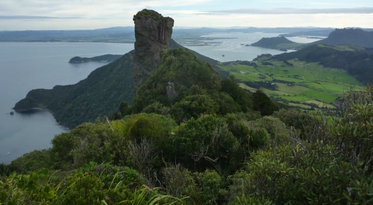 View from Whangarei Heads, New Zealand