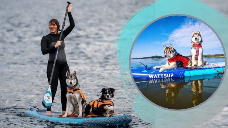 SUP with your pup: Tips for stand-up paddleboarding with your dog